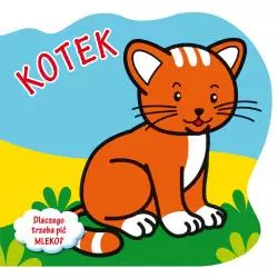 KOTEK DLACZEGO TRZEBA PIĆ MLEKO? Agata Widzowska-Pasiak - Wilga