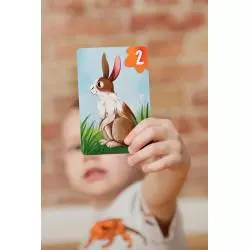 SPRYTNY LISEK GRA KARCIANA 4+ - Zielona Sowa SPRYTNY LISEK GRA KARCIANA 4+ - Zielona Sowa