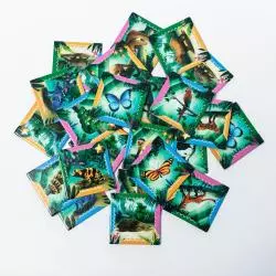 ODKRYWCY AMAZONIA GRA PLANSZOWA 6+ - Zielona Sowa ODKRYWCY AMAZONIA GRA PLANSZOWA 6+ - Zielona Sowa