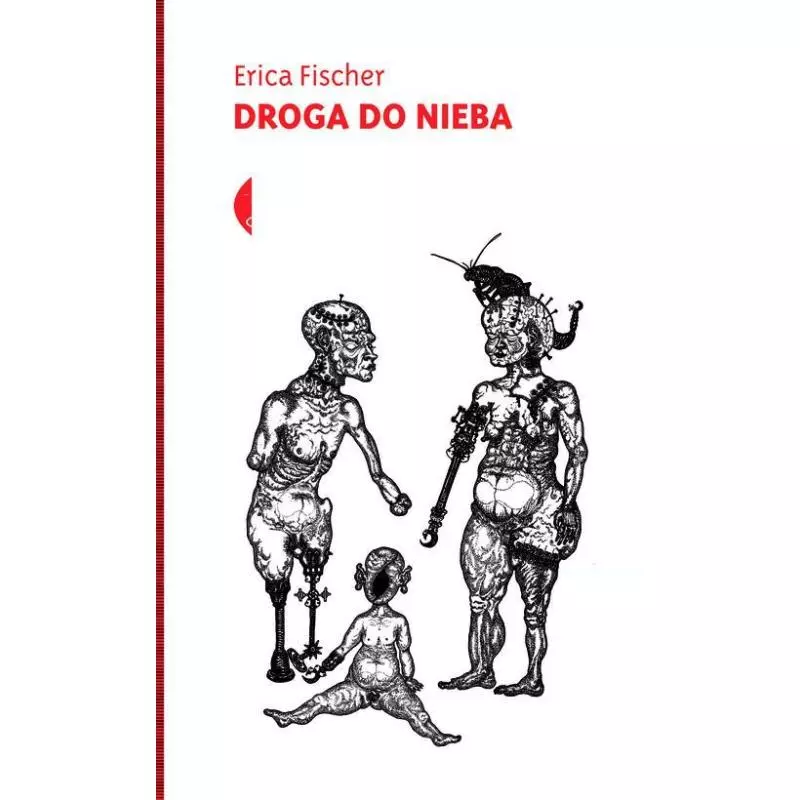 DROGA DO NIEBA Erica Fischer - Czarne