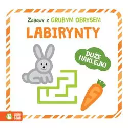 LABIRYNTY. ZABAWY Z GRUBYM OBRYSEM I NAKLEJKAMI 2+ - Zielona Sowa