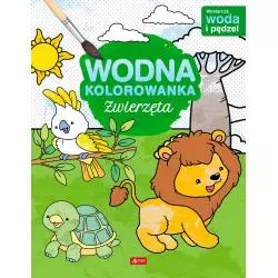 ZWIERZĘTA WODNA KOLOROWANKA - Dragon