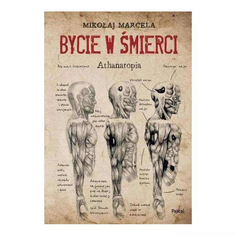 BYCIE W ŚMIERCI Mikołaj Marcela - Pascal