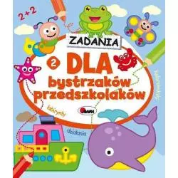 ZADANIA DLA BYSTRZAKÓW PRZEDSZKOLAKÓW LABIRYNTY DZIAŁANIA - AWM