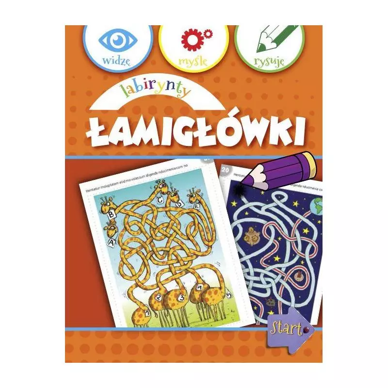 LABIRYNTY ŁAMIGŁÓWKI 6+ - Olesiejuk