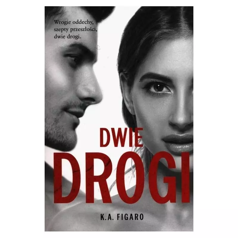 DWIE DROGI K.A. Figaro - Lipstick Books