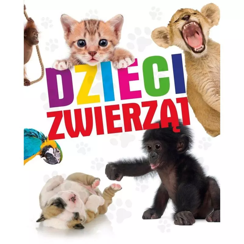 DZIECI ZWIERZĄT - Olesiejuk