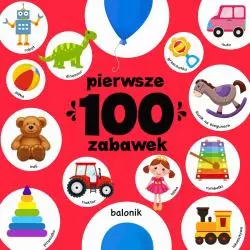 PIERWSZE 100 ZABAWEK - Wilga