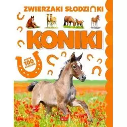 KONIKI ZWIERZAKI SŁODZIAKI PONAD 100 NAKLEJEK - Dragon