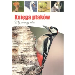 KSIĘGA PTAKÓW MÓJ PIERWSZY ATLAS Dominik Marchowski - SBM