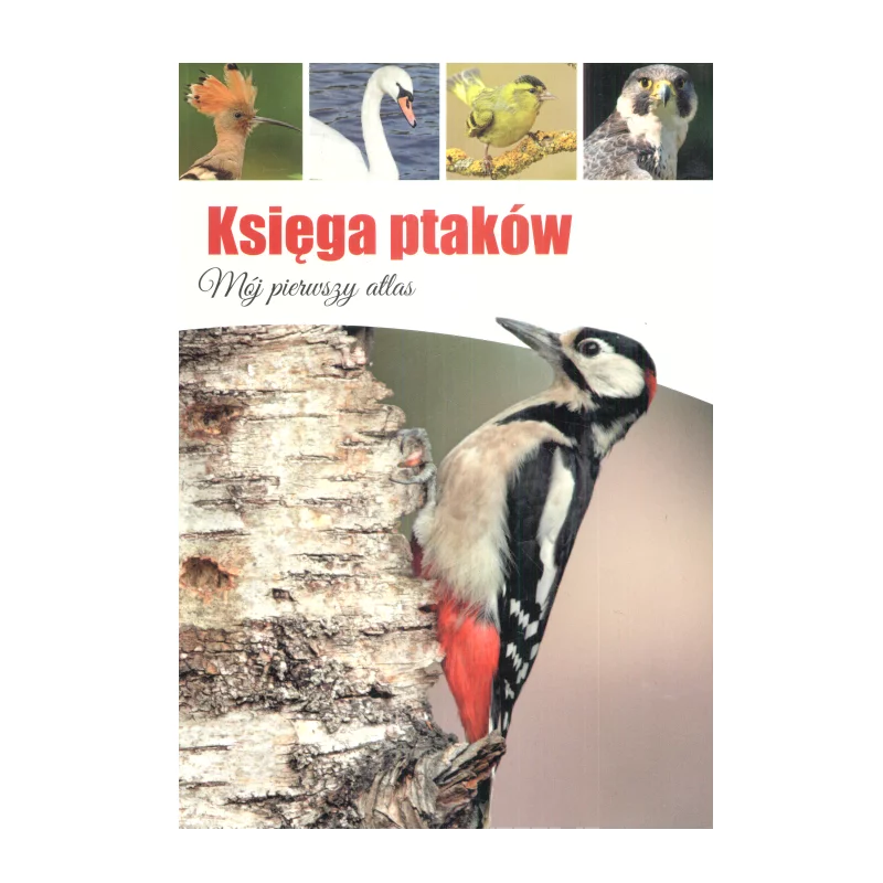 KSIĘGA PTAKÓW MÓJ PIERWSZY ATLAS Dominik Marchowski - SBM