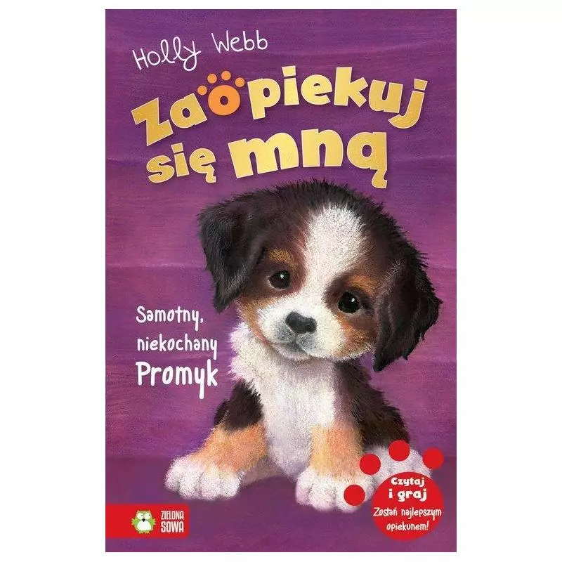 ZAOPIEKUJ SIĘ MNĄ SAMOTNY NIEKOCHANY PROMYK Holly Webb 7+ - Zielona Sowa