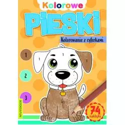 PIESKI KOLOROWANIE Z CYFERKAMI - Books and Fun