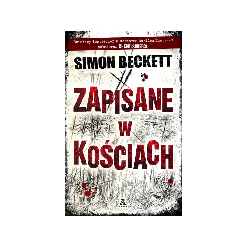 ZAPISANE W KOŚCIACH Simon Beckett - Amber