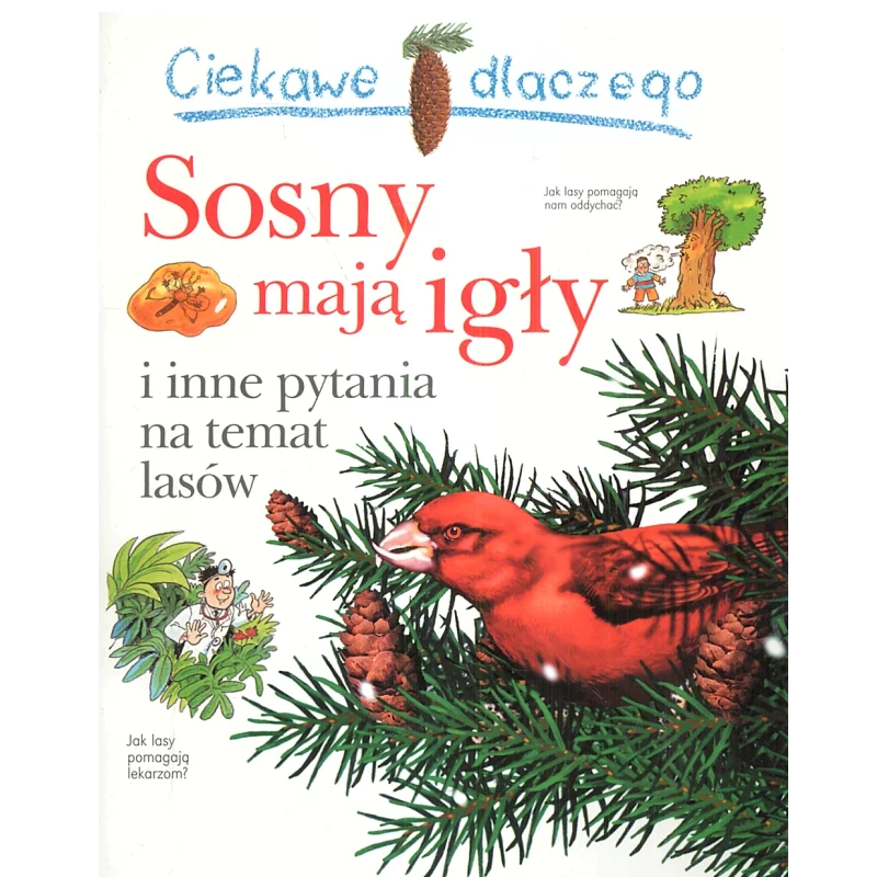 CIEKAWE DLACZEGO SOSNY MAJĄ IGŁY Jackie Gaff - Olesiejuk