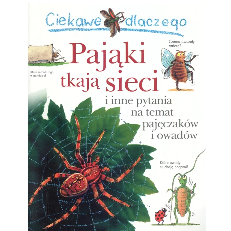 CIEKAWE DLACZEGO PAJĄKI TKAJĄ SIECI Amanda ONeill - Olesiejuk