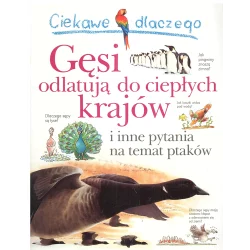 CIEKAWE DLACZEGO GĘSI ODLATUJĄ DO CIEPŁYCH KRAJÓW Amanda ONeil - Olesiejuk