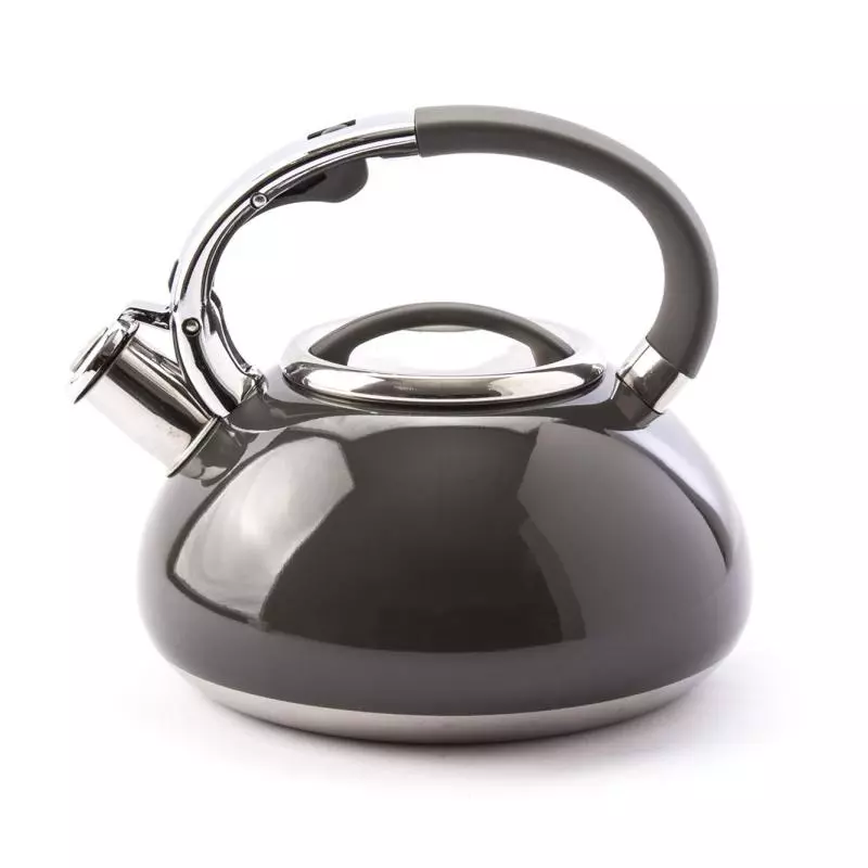 CZAJNIK ZE STALI NIERDZEWNEJ Z GWIZDKIEM 3L MATT SZARY - Altom