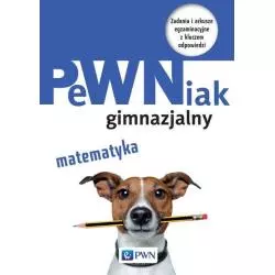 PEWNIAK GIMNAZJALNY MATEMATYKA Halina Juraszczyk - PWN