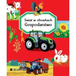 ŚWIAT W OBRAZKACH GOSPODARSTWO - Olesiejuk
