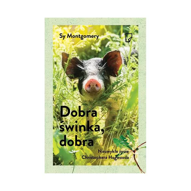 DOBRA ŚWINKA DOBRA NIEZWYKŁE ŻYCIE CHRISTOPHERA HOGWOODA Sy Montgomery - Marginesy DOBRA ŚWINKA DOBRA NIEZWYKŁE ŻYCIE CHRISTOPHERA HOGWOODA Sy Montgomery - Marginesy