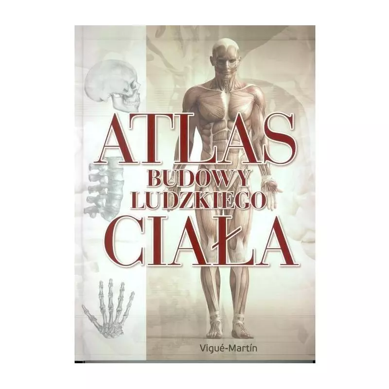 ATLAS BUDOWY LUDZKIEGO CIAŁA Vigue Martin - Olesiejuk
