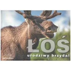 ŁOŚ - URODZIWY BRZYDAL Wojciech Misiukiewicz - Bernardinum