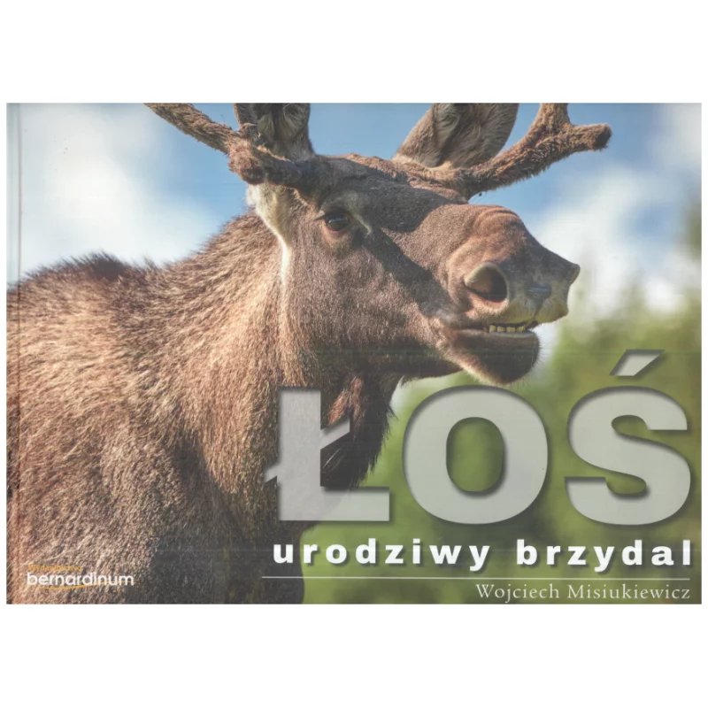 ŁOŚ - URODZIWY BRZYDAL Wojciech Misiukiewicz - Bernardinum