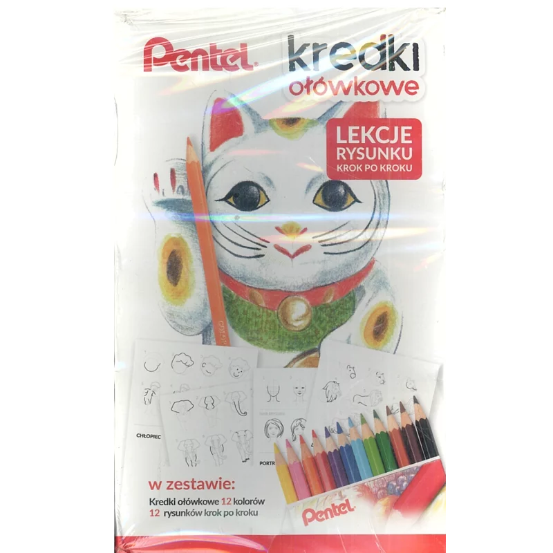 KREDKI OŁÓWKOWE + LEKCJE RYSUNKU PENTEL - Pentel