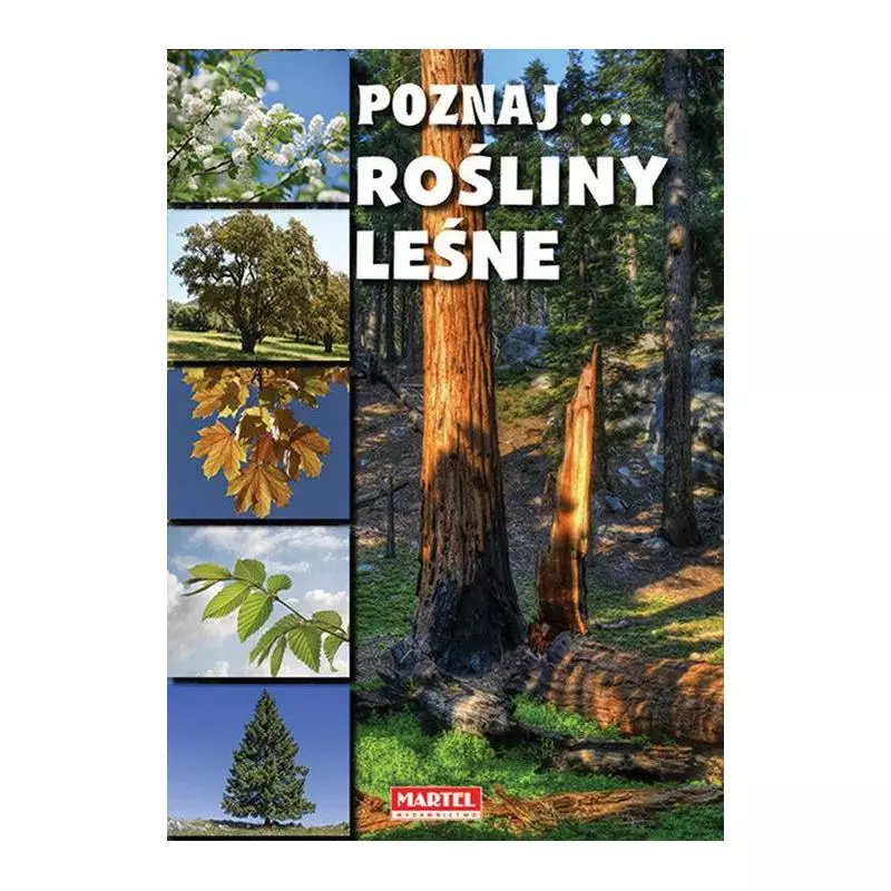 POZNAJ ROŚLINY LEŚNE - Martel