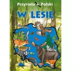 PRZYRODA POLSKI W LESIE - SBM