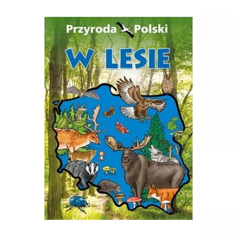 PRZYRODA POLSKI W LESIE - SBM