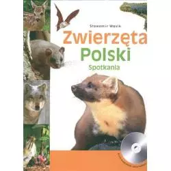 ZWIERZĘTA POLSKI SPOTKANIA Sławomir Wąsik - Multico