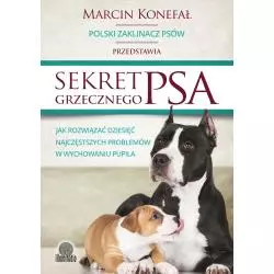 SEKRET GRZECZNEGO PSA Marcin Konefał - Illuminatio