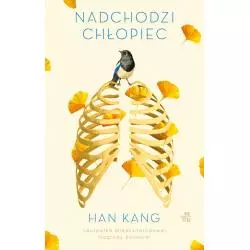 NADCHODZI CHŁOPIEC Han Kang - WAB