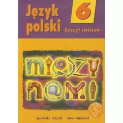 MIĘDZY NAMI 6 JĘZYK POLSKI ZESZYT ĆWICZEŃ Agnieszka Łuczak, Anna Murdzek - GWO