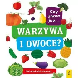 PRZEDSZKOLAK SIĘ UCZY CZY ZNASZ JUŻ WARZYWA I OWOCE? - Wilga