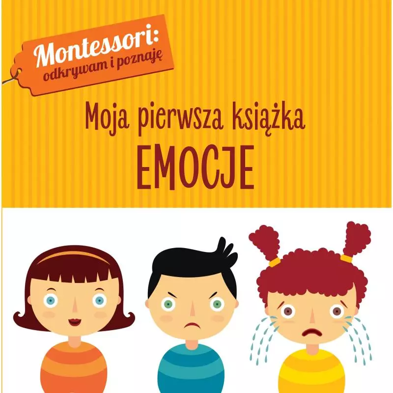 EMOCJE MONTESSORI MOJA PIERWSZA KSIĄŻKA Chiara Piroddi - Wilga