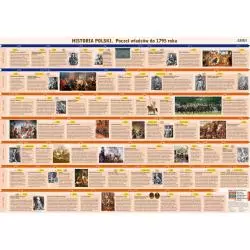 POCZET WŁADCÓW POLSKICH PLANSZA EDUKACYJNA DWUSTRONNA - Demart