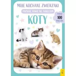 KOTY MOJE KOCHANE ZWIERZAKI POZNAJĘ, BAWIĘ SIĘ, NAKLEJAM - Wilga