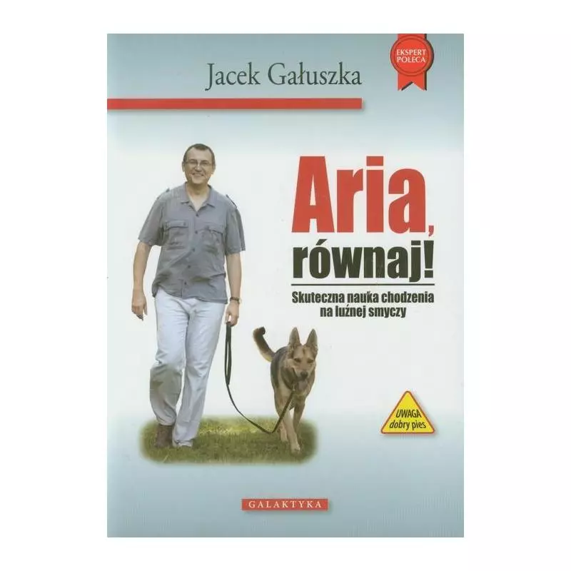 ARIA RÓWNAJ Jacek Gałuszka - Galaktyka