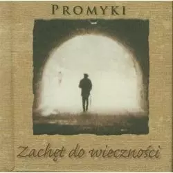 PROMYKI ZACHĘT DO WIECZZNOŚCI - Diecezjalne