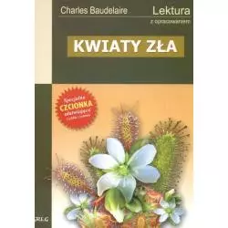 KWIATY ZŁA Charles Baudelaire - Greg