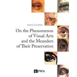 ON THE PHENOMENON OF VISUAL ARTS AND THE MEANDERS OF THEIR PRESERVATION Iwona Szmelter - PWN