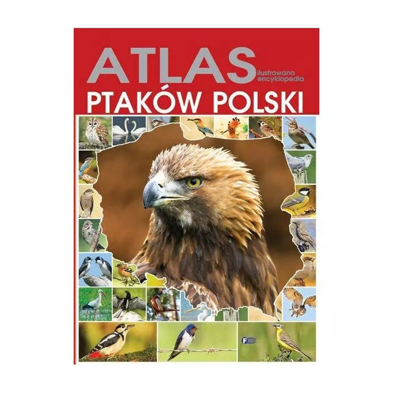 ATLAS ILUSTROWANA ENCYKLOPEDIA PTAKÓW POLSKI - Fenix