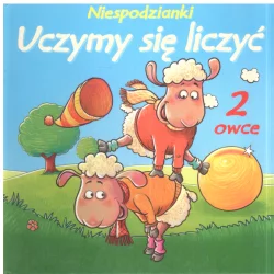 NIESPODZIANKI UCZYMY SIE LICZYĆ - Yoyo Books