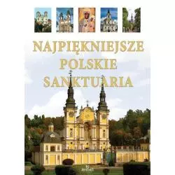 NAJPIĘKNIEJSZE POLSKIE SANKTUARIA Teofil Krzyżanowski - Arystoteles