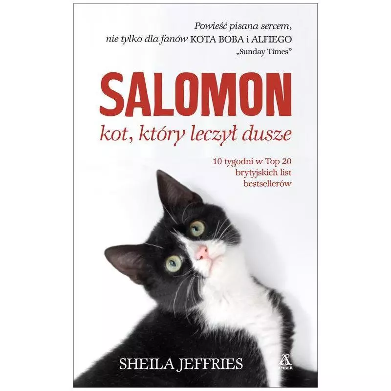 SALOMON. KOT, KTÓRY LECZYŁ DUSZE Sheila Jeffries - Amber