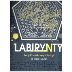 LABIRYNTY. ZNAJDŹ WŁAŚCIWĄ ŚCIEŻKĘ - Olesiejuk