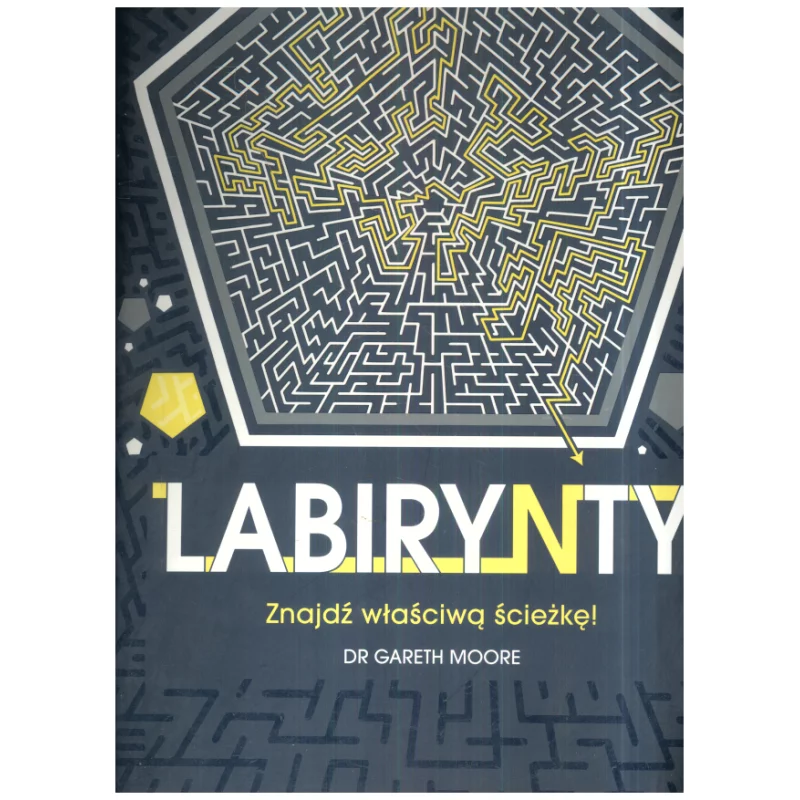 LABIRYNTY. ZNAJDŹ WŁAŚCIWĄ ŚCIEŻKĘ - Olesiejuk